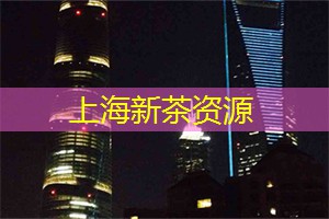 上海夜晚跑者锻炼指南：感受疾奔中的城市魅力