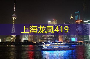 点燃 __ ：上海的龙舟比赛盛况